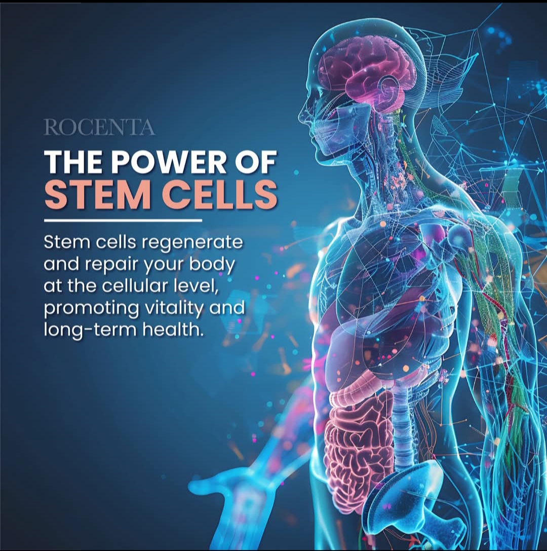 STEM CELL 